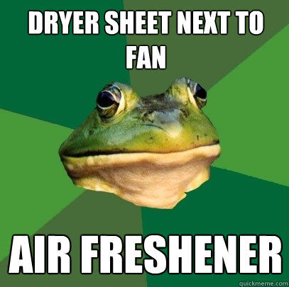 Dryer sheet next to fan air freshener  Foul Bachelor Frog