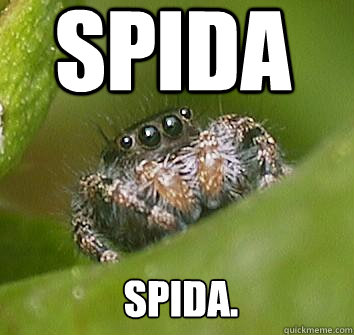 spida spida.  Misunderstood Spider