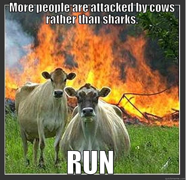 MORE PEOPLE ARE ATTACKED BY COWS RATHER THAN SHARKS. RUN Evil cows