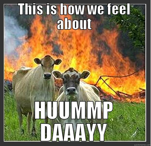 I hate hump day - THIS IS HOW WE FEEL ABOUT HUUMMP DAAAYY Evil cows