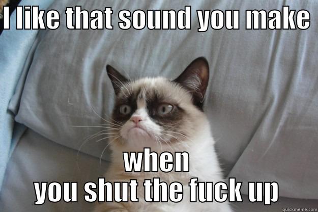 I LIKE THAT SOUND YOU MAKE  WHEN YOU SHUT THE FUCK UP Grumpy Cat