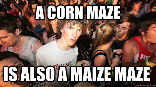 A Corn maze is also a maize maze - A Corn maze is also a maize maze  Sudden Clarity Clarence