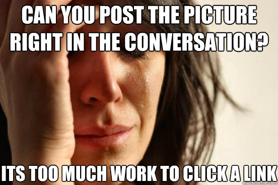 Can you post the picture right in the conversation? It´s too much work to click a link  First World Problems