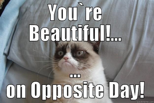 You`re Beautiful!... - YOU`RE BEAUTIFUL!... ... ON OPPOSITE DAY! Grumpy Cat