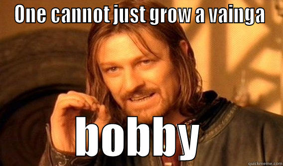 ONE CANNOT JUST GROW A VAINGA BOBBY One Does Not Simply