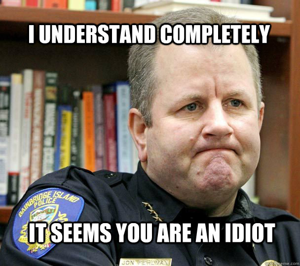 I understand completely It seems you are an idiot - I understand completely It seems you are an idiot  Pensive Officer