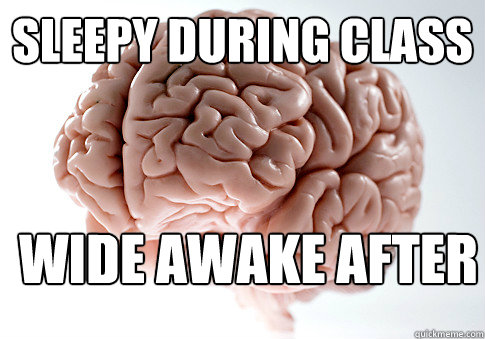 sleepy during class wide awake after   Scumbag Brain