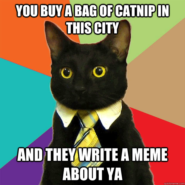 You buy a bag of catnip in this city And they write a meme about ya  Business Cat