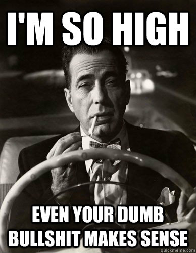 i'm so high even your dumb bullshit makes sense - i'm so high even your dumb bullshit makes sense  fair enough bogart