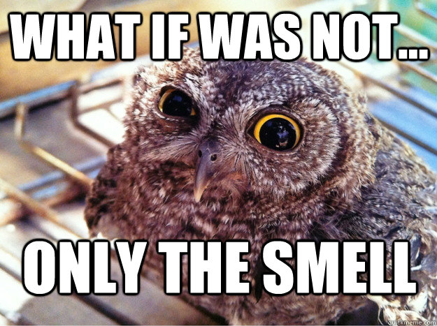What if was not... Only the smell  