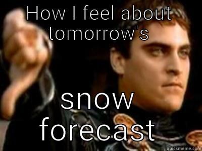  I Hate Winter - HOW I FEEL ABOUT TOMORROW'S SNOW FORECAST Downvoting Roman