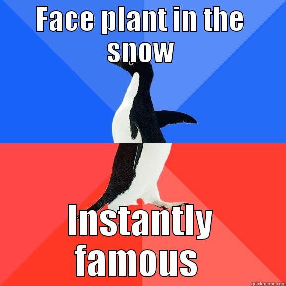 FACE PLANT IN THE SNOW INSTANTLY FAMOUS  Socially Awkward Awesome Penguin