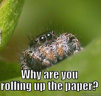  WHY ARE YOU ROLLING UP THE PAPER? Misunderstood Spider