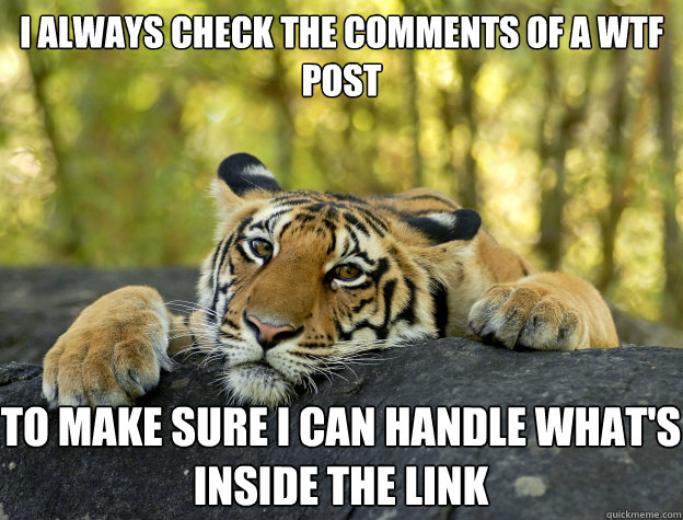 I always check the comments of a WTF post to make sure I can handle what's inside the link  Confession Tiger