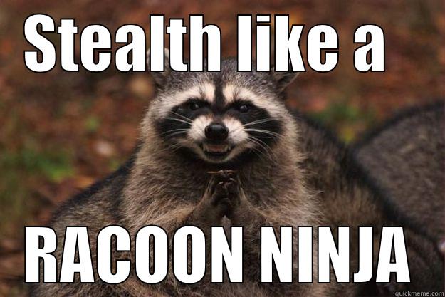 Plotting Ninja - STEALTH LIKE A   RACOON NINJA Evil Plotting Raccoon