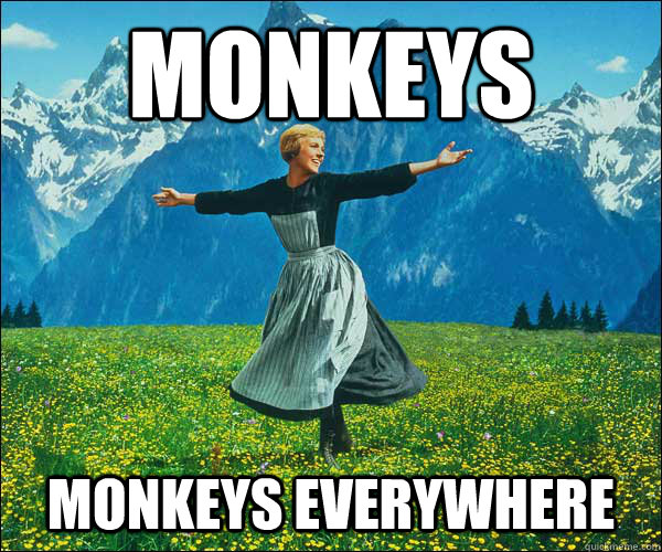 monkeys monkeys everywhere  Sound of Music