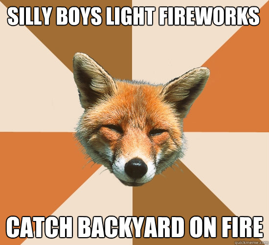 Silly Boys Light Fireworks
 Catch Backyard on fire  Condescending Fox