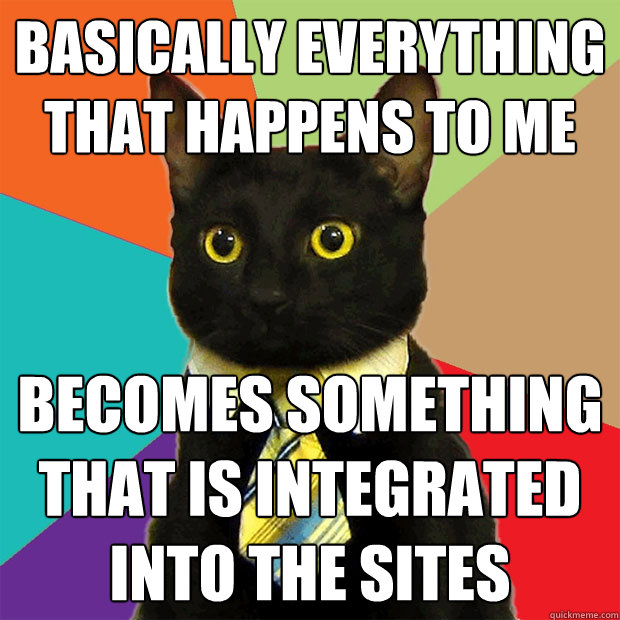 Basically everything that happens to me becomes something that is integrated into the sites  Business Cat