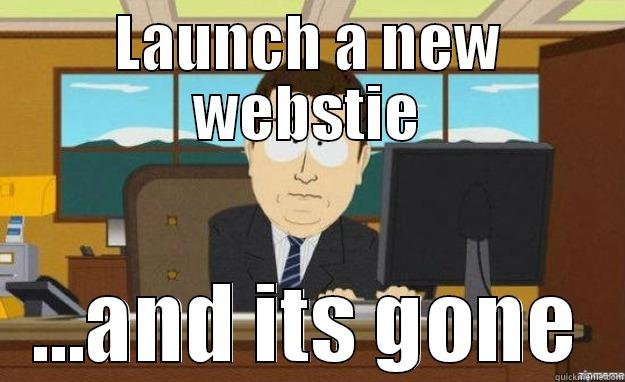 LAUNCH A NEW WEBSTIE ...AND ITS GONE aaaand its gone