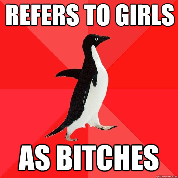 refers to girls as bitches  Socially Awesome Penguin