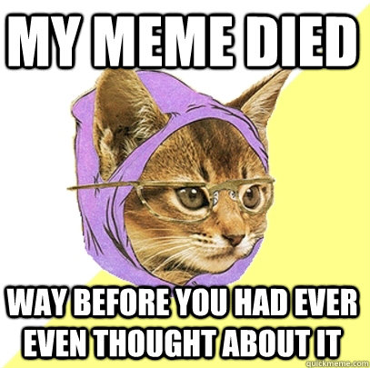 My meme died way before you had ever even thought about it  Hipster Kitty