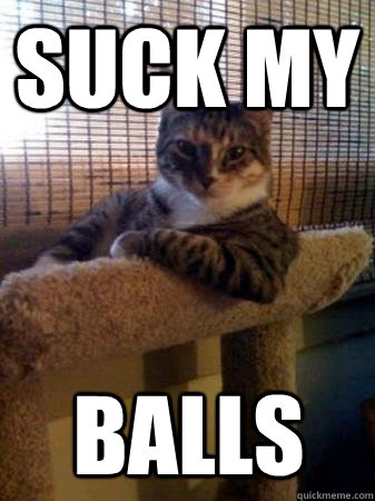 SUCK MY  BALLS  The Most Interesting Cat in the World