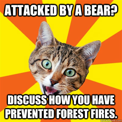 Attacked by a bear? Discuss how you have prevented forest fires.  Bad Advice Cat