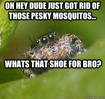 Oh hey dude just got rid of those pesky mosquitos... Whats that shoe for bro?  Misunderstood Spider