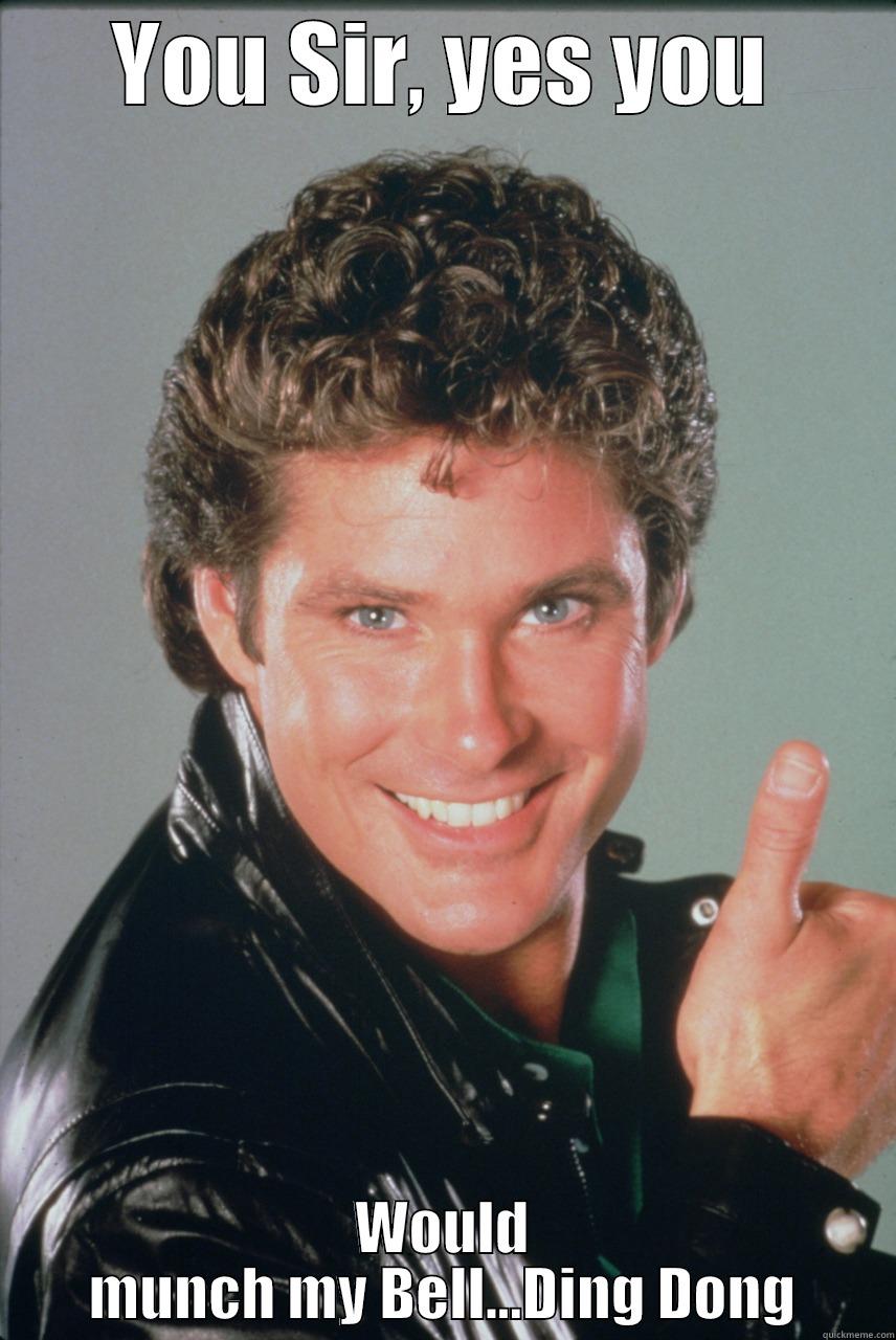 The Hoff Says - YOU SIR, YES YOU WOULD MUNCH MY BELL...DING DONG Misc