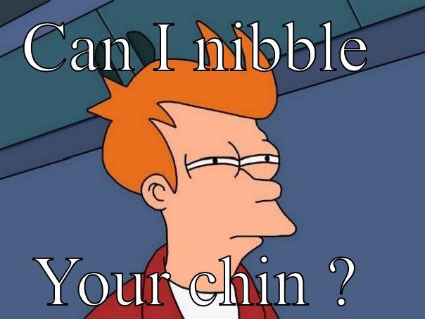 Chin nibbler  - CAN I NIBBLE  YOUR CHIN ?  Futurama Fry