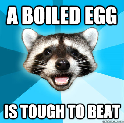 A boiled egg is tough to beat - A boiled egg is tough to beat  Lame Pun Coon