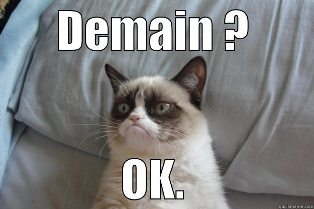 OK. No problem - DEMAIN ? OK. Grumpy Cat