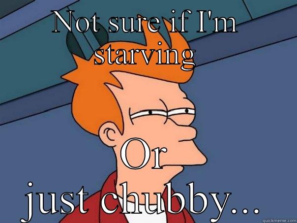 NOT SURE IF I'M STARVING OR JUST CHUBBY... Futurama Fry