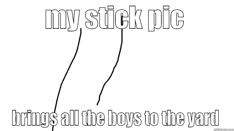 MY STICK PIC BRINGS ALL THE BOYS TO THE YARD Misc