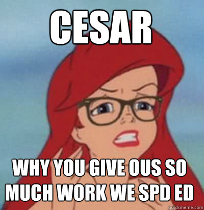 CESAR WHY YOU GIVE OUS SO MUCH WORK WE SPD ED  Hipster Ariel