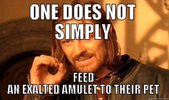 ONE DOES NOT SIMPLY FEED AN EXALTED AMULET TO THEIR PET One Does Not Simply