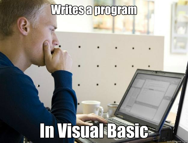 Writes a program In Visual Basic  Programmer