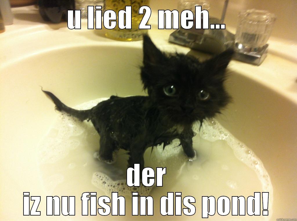 U LIED 2 MEH... DER IZ NU FISH IN DIS POND! Misc