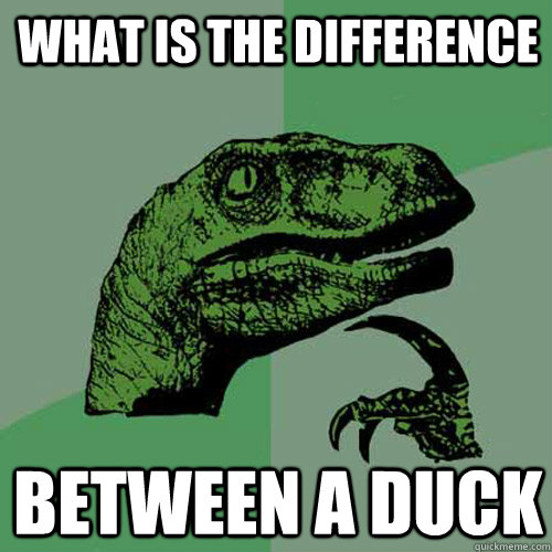 What is the difference  BEtween a duck  Philosoraptor