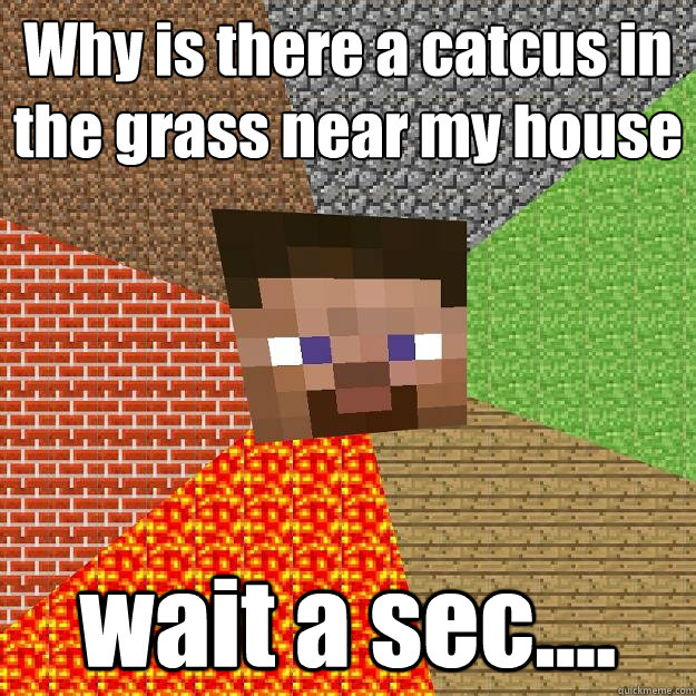 Why is there a catcus in the grass near my house wait a sec....  Minecraft