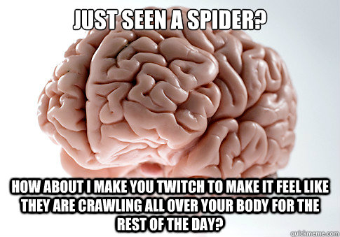 Just seen a spider? how about i make you twitch to make it feel like they are crawling all over your body for the rest of the day? - Just seen a spider? how about i make you twitch to make it feel like they are crawling all over your body for the rest of the day?  Scumbag Brain