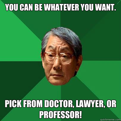 You can be whatever you want. Pick from doctor, lawyer, or professor! - You can be whatever you want. Pick from doctor, lawyer, or professor!  High Expectations Asian Father