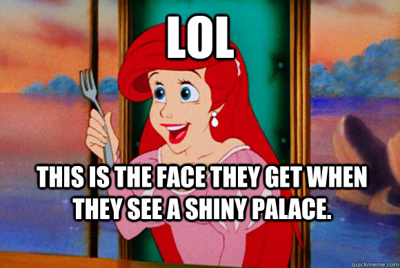 LoL This is the face they get when they see a shiny palace.    Disney Logic