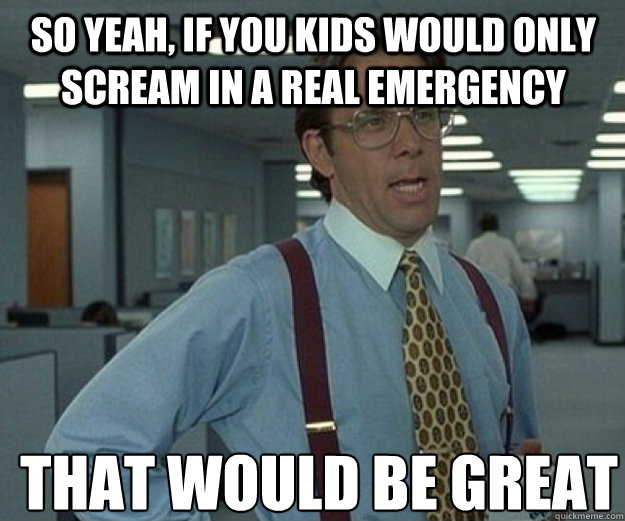 So yeah, if you kids would only scream in a real emergency THAT WOULD BE GREAT  that would be great