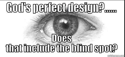 GOD'S PERFECT DESIGN?…... DOES THAT INCLUDE THE BLIND SPOT? Misc