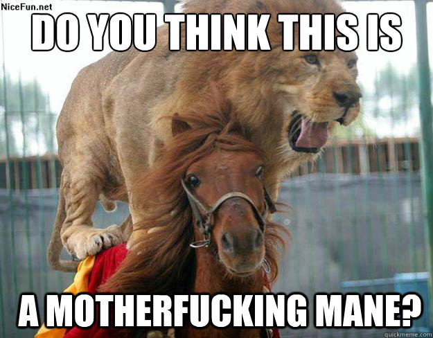 Do you think this is  a motherfucking mane?  Mane meme