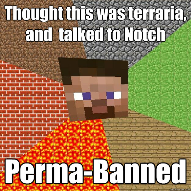 Thought this was terraria, and  talked to Notch Perma-Banned  Minecraft