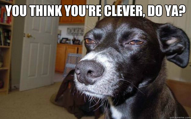 You think you're clever, do ya?  Skeptical Mutt