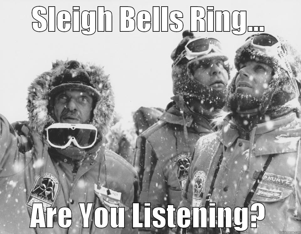 SLEIGH BELLS RING... ARE YOU LISTENING? Misc