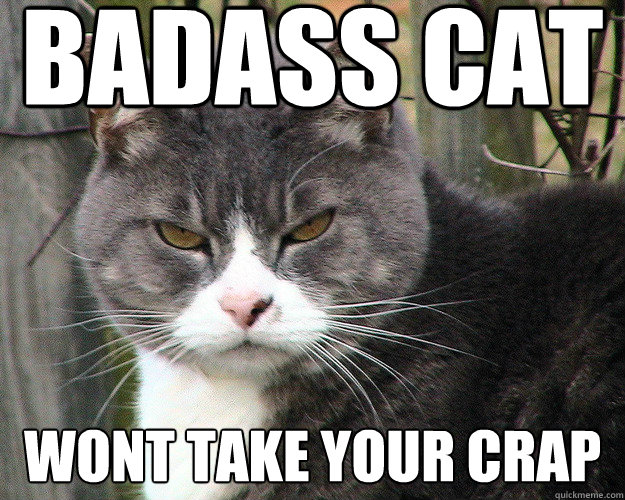 BADASS CAT WONT TAKE YOUR CRAP  